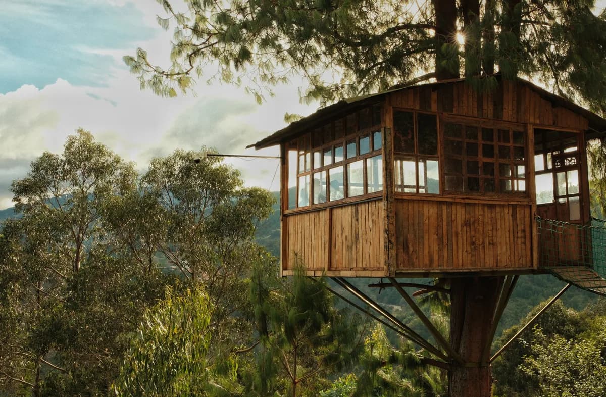BookNoFees Imagem de exemplo: casa de madeira na copa de uma árvore com fachada envidraçada
