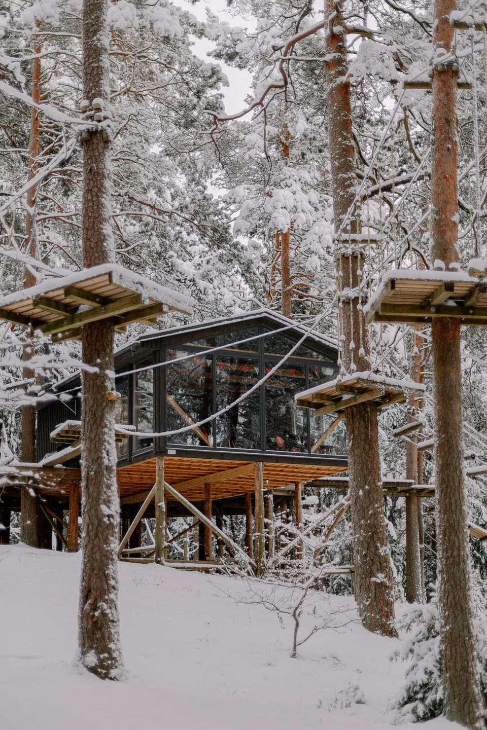 BookNoFees Imagem de exemplo: cabana com janelas em uma árvore na floresta coberta de neve