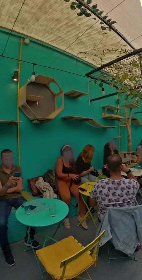 BookNoFees: Café – Cat Cafe Athens – Athens – Café dos Gatos de Atenas, foto 3
