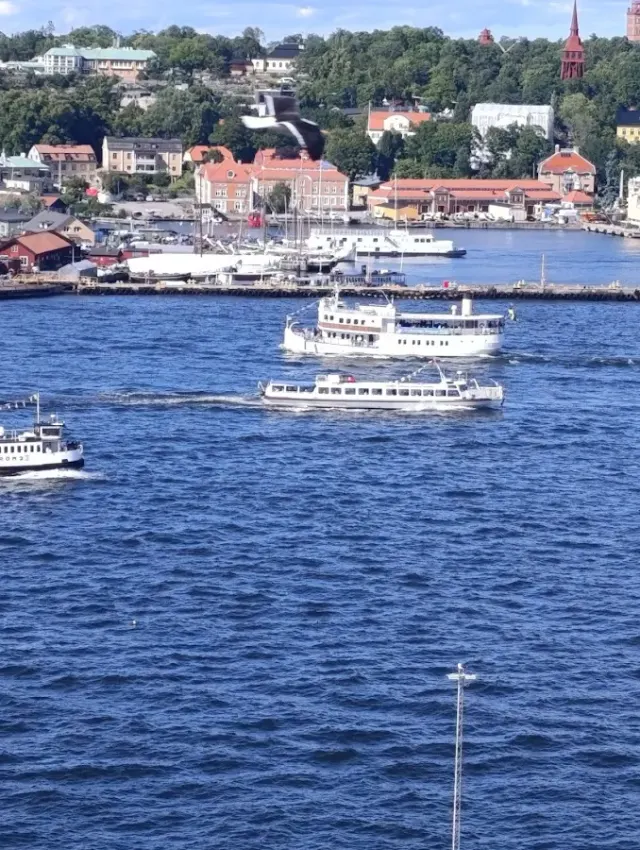 BookNoFees: Café – Fåfängan – Stockholm – A vaidade, foto 2
