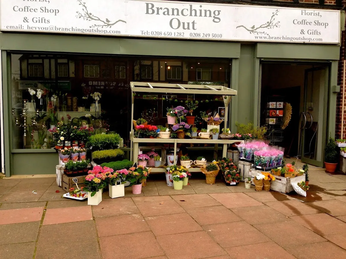 BookNoFees: Café – Branching Out – London – Expandindo os horizontes, foto 1