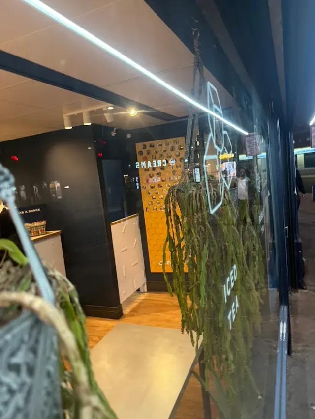 BookNoFees: Café – Cupp Bubble Tea – London – Chá com Bolhas Cupp, foto 2