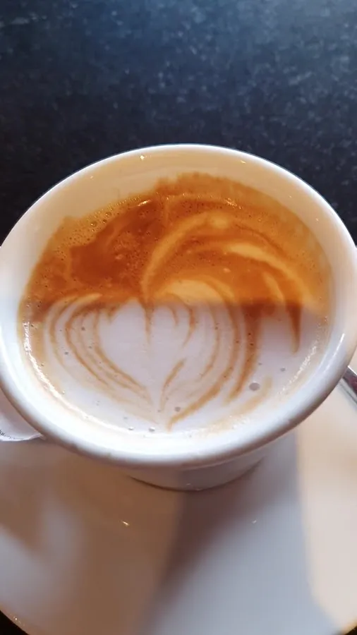 BookNoFees: Café – Bumerang – Zagreb – Bumerangue, foto 3
